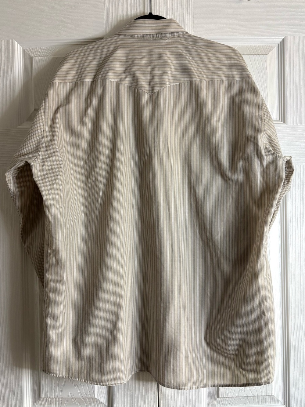 Panhandle Slim Beige Striped Western Button-Up Shirt - Picture 12 of 16